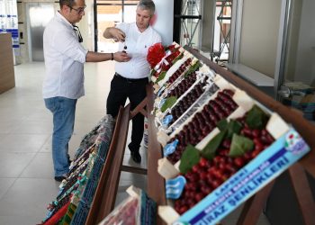 Edirne’de üretiliyor! Avrupa’ya ihraç ediliyor