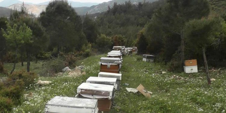 Hobi diye başladı, şimdi ihracat yapıyor