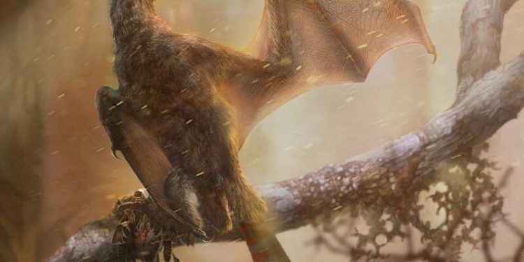 Yarasa kanatlı yeni bir dinozor türü keşfedildi