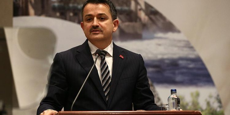 Bakan Pakdemirli: Barajlardaki su ürünlerinden ekonomiye yıllık 940 milyon lira katkı