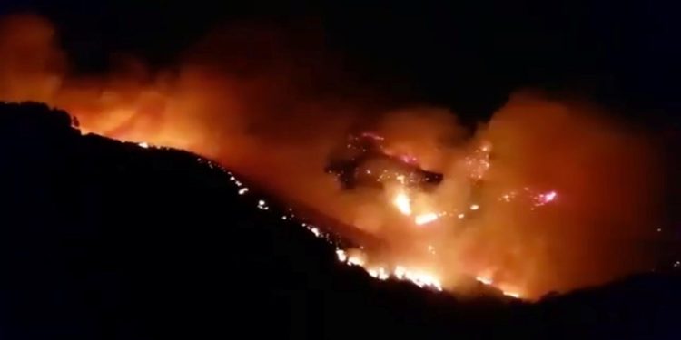 Kanarya Adaları’nda orman yangını