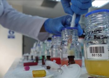 Kimya sektörü için “Singapur modeli” önerisi