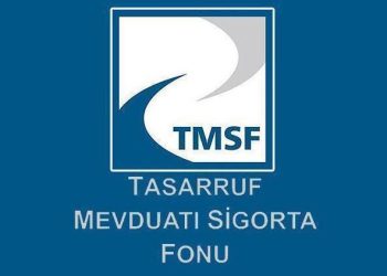 TMSF’ye devredilen 885 şirketin aktifi 60 milyar liraya dayandı