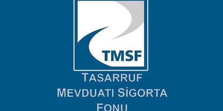TMSF’ye devredilen 885 şirketin aktifi 60 milyar liraya dayandı